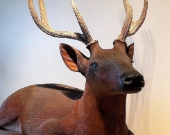 Intricately Hand Carved Old Wood Deer