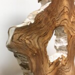 Organic Art Teak Root Sculpture at Gado Gado