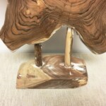 Organic Art Teak Root Sculpture at Gado Gado