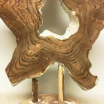 Organic Art Teak Root Sculpture at Gado Gado