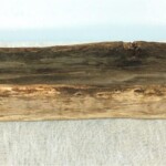 Old Teak Mortar Planter at Gado Gado