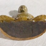 Meditating Buddha Balinese Wood Carving Statue