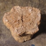 Old Eroded Teak Mortar