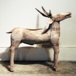 Old Wood Deer from Java Old Wood Deer from Java