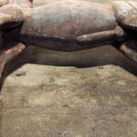 Old Wood Deer from Java Old Wood Deer from Java