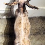 Old Wood Deer from Java Old Wood Deer from Java