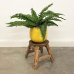 Mini Round Rustic Stool Plant Stand 2 from Gado Gado Furniture Mini Round Rustic Stool Plant Stand 2 from Gado Gado Furniture