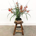 Mini Round Rustic Stool Plant Stand from Gado Gado