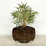 Old Teak Bell Organic Pot 3 at Gado Gado