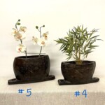 Old Teak Bell Organic Pot 5