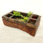 Old Betel Nut Box Spice Wood Tray
